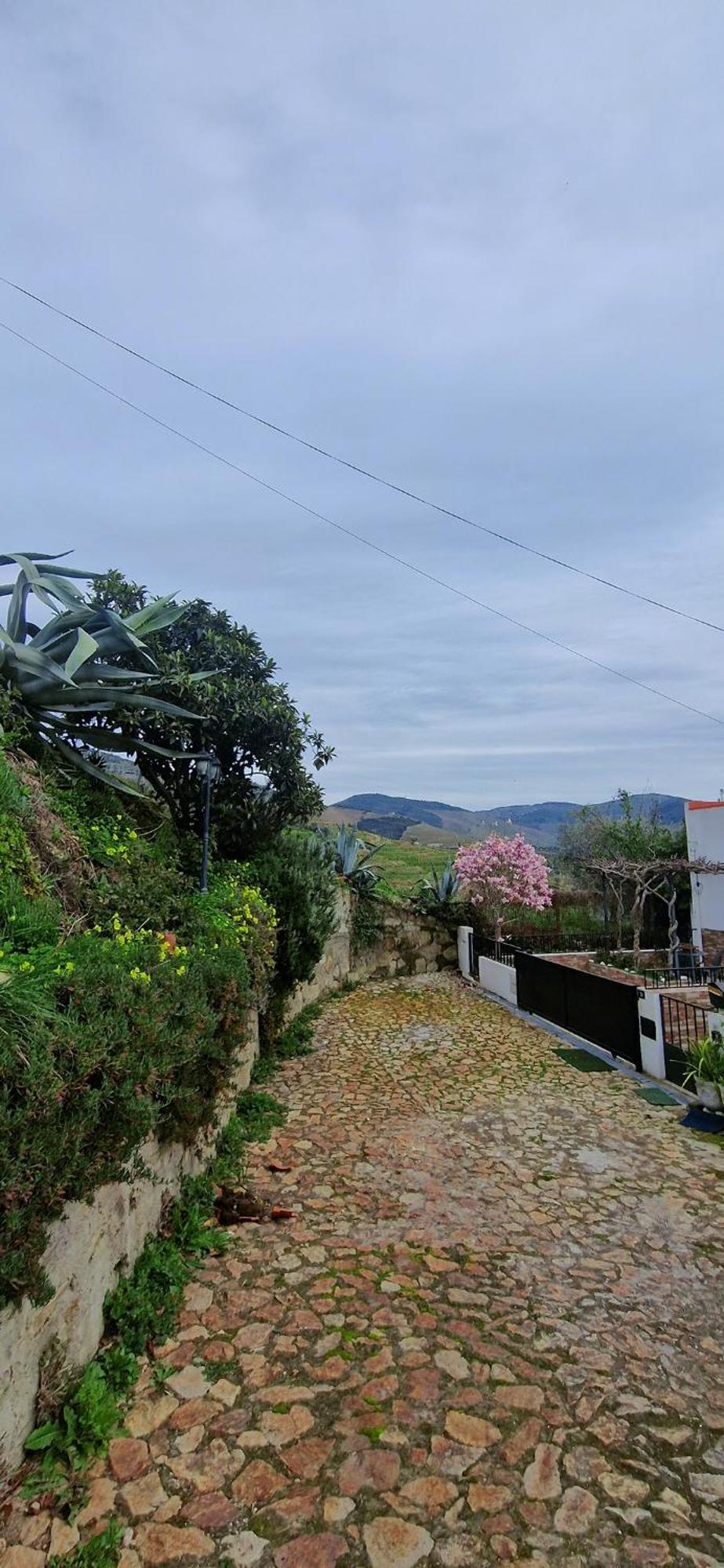 Casa Rodrigues * Pinhao